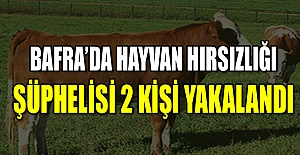 Bafra’da Hayvan Hırsızlığı Şüphelisi 2 Kişi Yakalandı