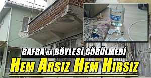 Bafra'da böylesi görülmedi hem arsız hem hırsız.