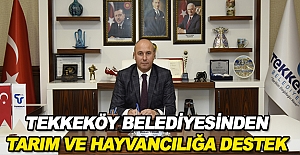 Tekkeköy Belediyesinden tarım ve hayvancılığa destek