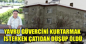 Yavru güvercini kurtarmak isterken çatıdan düşüp öldü