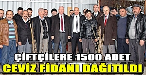 Çiftçilere 1500 adet ceviz fidanı dağıtıldı