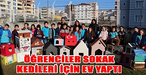 Öğrenciler sokak kedileri için ev yaptı