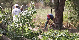 Milli Parklar Şefliği Bahçesini Koruyamadı