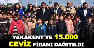 YAKAKENT`TE 15.000 CEVİZ FİDANI DAĞITILDI