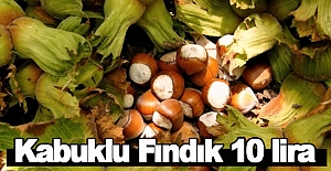 Kabuklu Fındık 10 lira