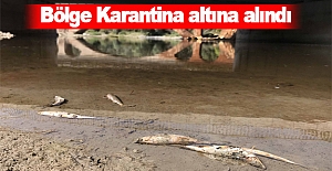 O bölge karantina altına alındı