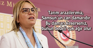 TARIM ARAZİLERİ, SAMSUN'UN CAN DAMARIDIR