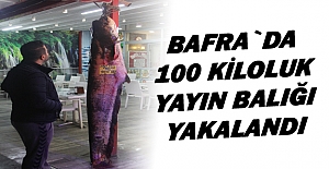 Bafra`da 100 kiloluk yayın yakalandı