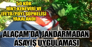 Alaçam'da jandarmadan asayiş uygulaması