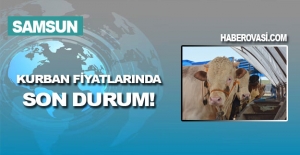 2024 Kurban Fiyatlarında Son Durum!