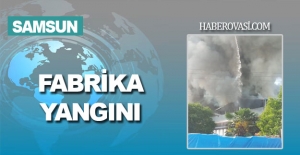 Samsun'da Bebek Bezi ve Plastik Ürün Fabrikasında Yangın