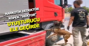 Samsun'da Narkotik Köpek Hektor uyuşturucuyu buldu