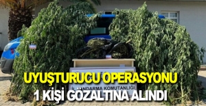 Samsun'da uyuşturucu operasyonu 1 gözaltı