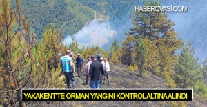 Yakakent'te orman yangını kontrol altına alındı