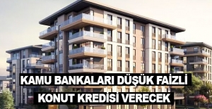 Kamu Bankaları düşük kredi verecek