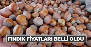 Fındık alım fiyatları belli oldu