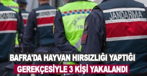 Bafra'da hayvan hırsızlığı yaptığı gerekçesiyle 3 kişi yakalandı