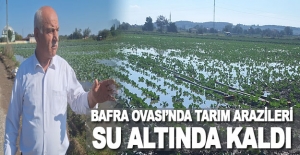 Bafra Ovası'nda tarım arazileri sular altında kaldı