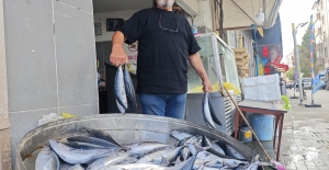 Samsun'da balık tezgahları boş kaldı