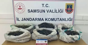 Bafra'da ormanlık alanda uyuşturucu bulundu