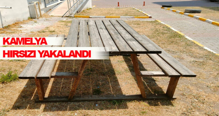 Kamelya hırsızı yakalandı