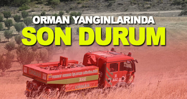 Türkiye Yangınlarla Boğuşuyor: 8 Yangın Devam Ediyor