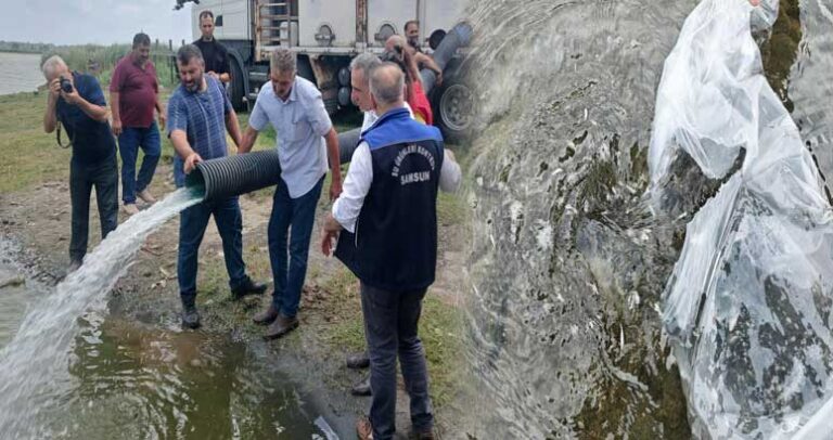 Samsun’un Sularına 2 Milyon 341 Bin Yavru Sazan Bırakıldı