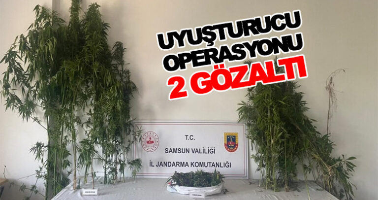 Samsun’da jandarma baskınında 2 gözaltı