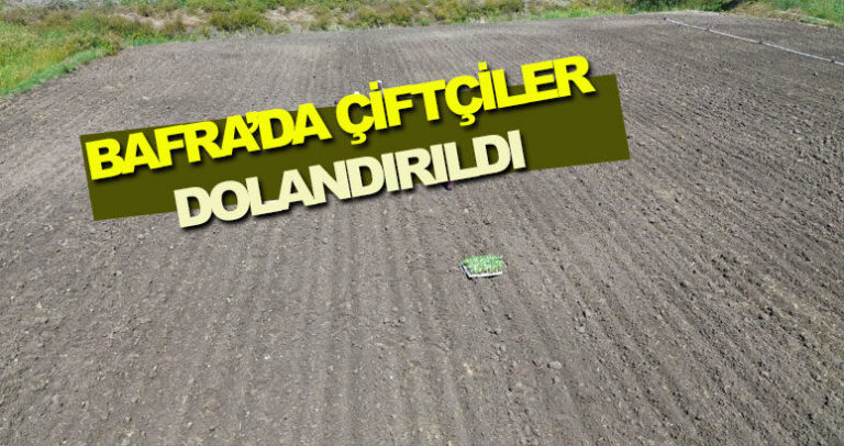 Bafra’da çiftçiler Komisyoncu Tarafından Dolandırıldı