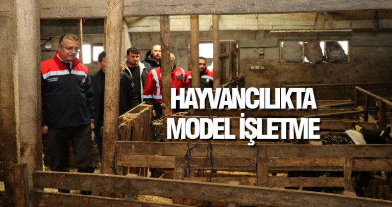 Samsun’da Hayvancılıkta Model İşletme